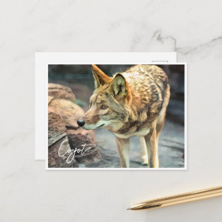 Coyote ポストカード postkarte