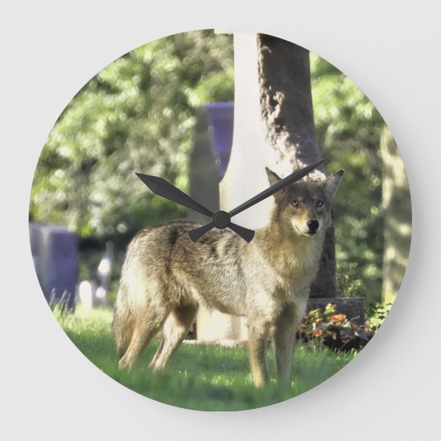 Coyote am Friedhof Große Wanduhr (Vorderseite)