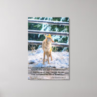 Coyote and Snow Wildlife Foto Kunst und Dichtung