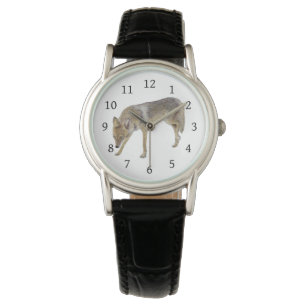 Coyote Armbanduhr