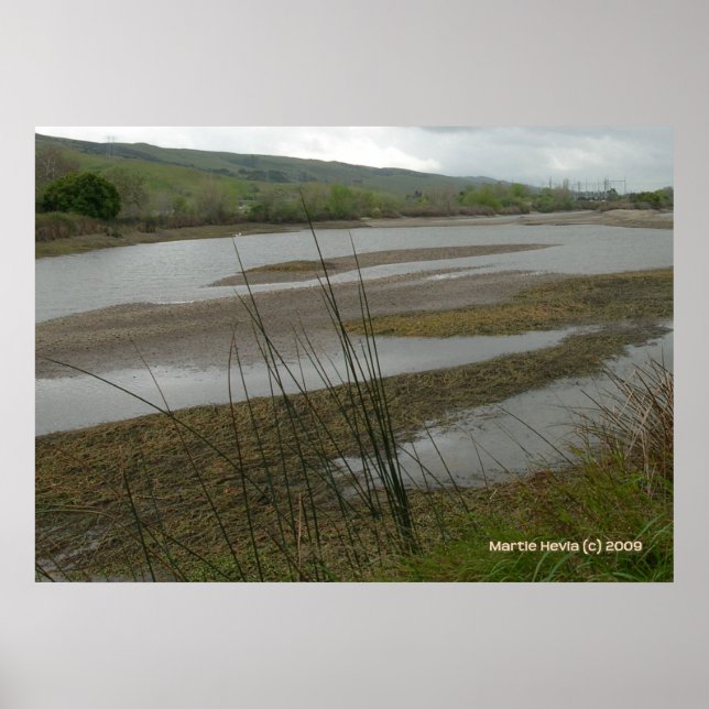 Coyote Creek Rainy Day Poster (Vorne)