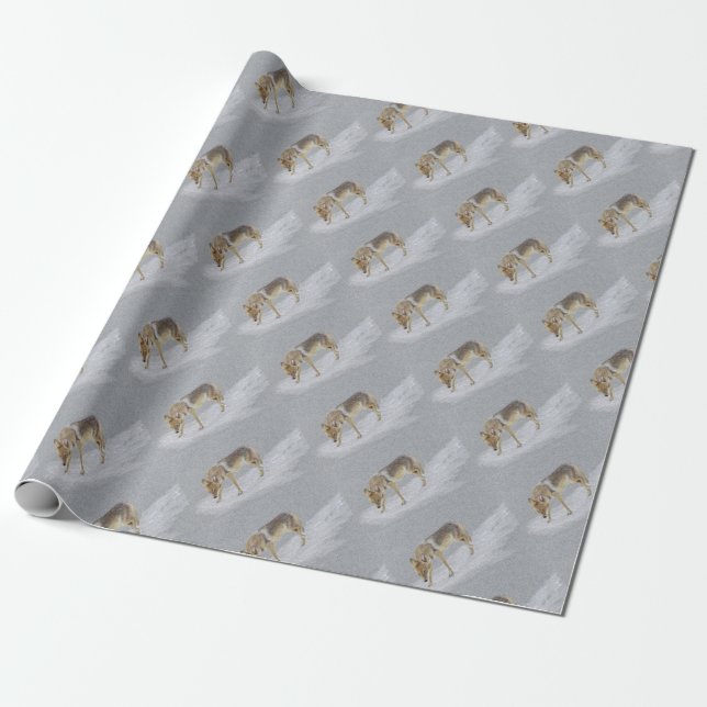Coyote Geschenkpapier (Ungerollt)
