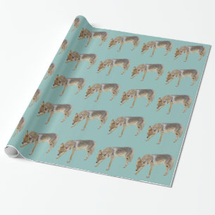Coyote Geschenkpapier