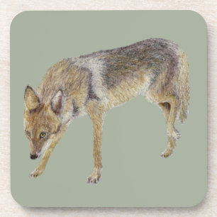 Coyote Getränkeuntersetzer