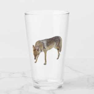 Coyote Glas