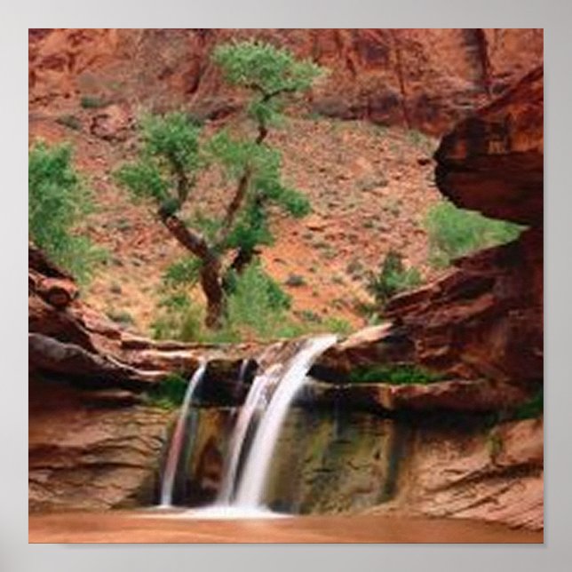 Coyote Gulch Falls Poster (Vorne)