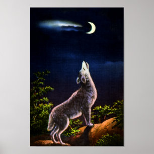 Coyote Howling am Mond Poster