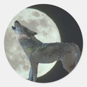 Coyote Howling am Mond Runder Aufkleber