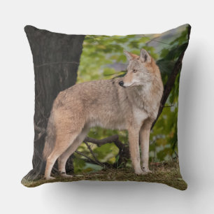 Coyote Hübsch Kissen