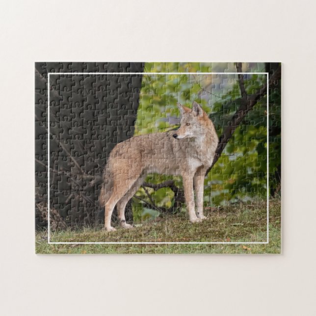 Coyote Hübsch Puzzle (Horizontal)