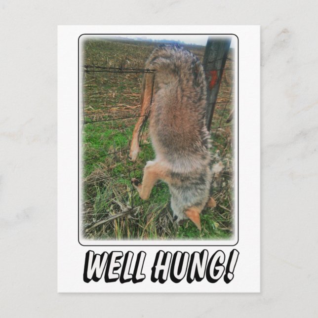 COYOTE HUNT - GUTE HUNG ÜBER ZENTRUM POSTKARTE (Vorderseite)