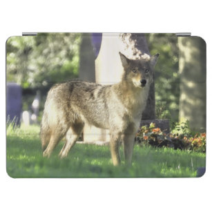 Coyote im Friedhof iPad Air Hülle