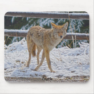 Coyote-Jagd bei Frauen im Schnee #Gift Mousepad