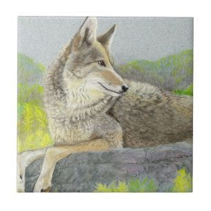 Coyote Keramik Tile Fliese