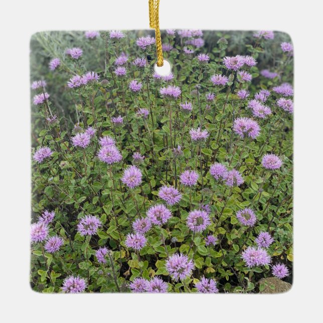 Coyote Mint Keramikornament (Vorderseite)