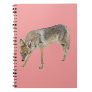 Coyote Notizblock