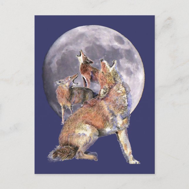 Coyote Pack Howling auf dem Mond Postkarte (Vorderseite)
