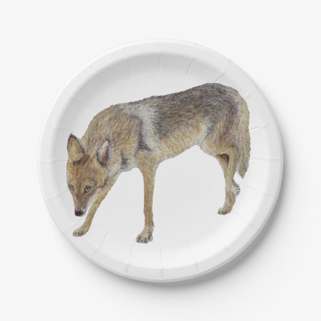 Coyote Pappteller (Vorderseite)