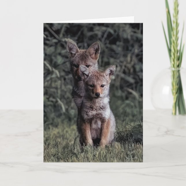 Coyote Pups Danke Karte (Vorderseite)