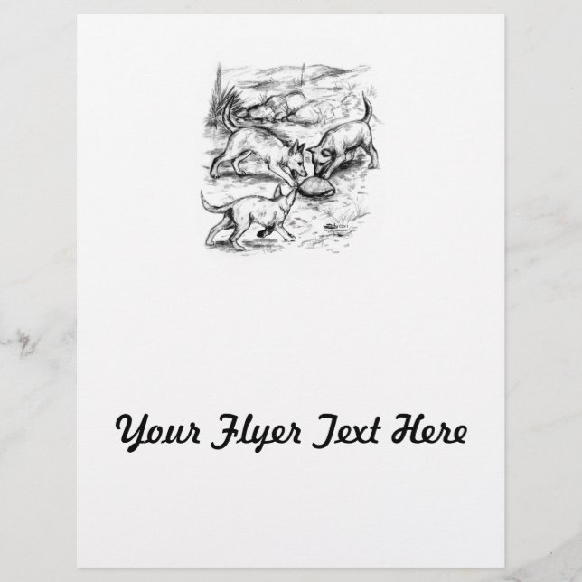 Coyote Pups Flyer (Vorne)