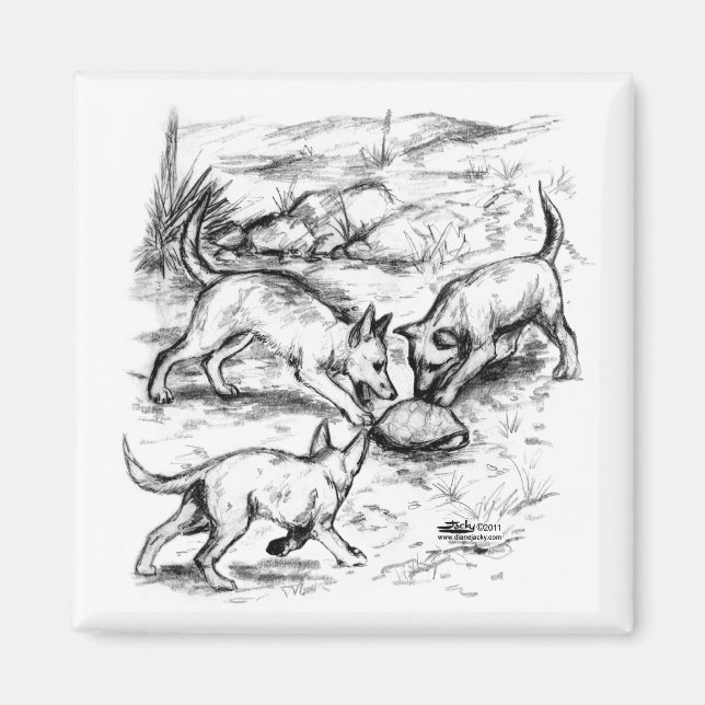 Coyote Pups Magnet (Vorne)
