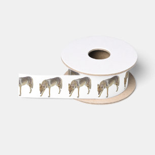 Coyote Satinband
