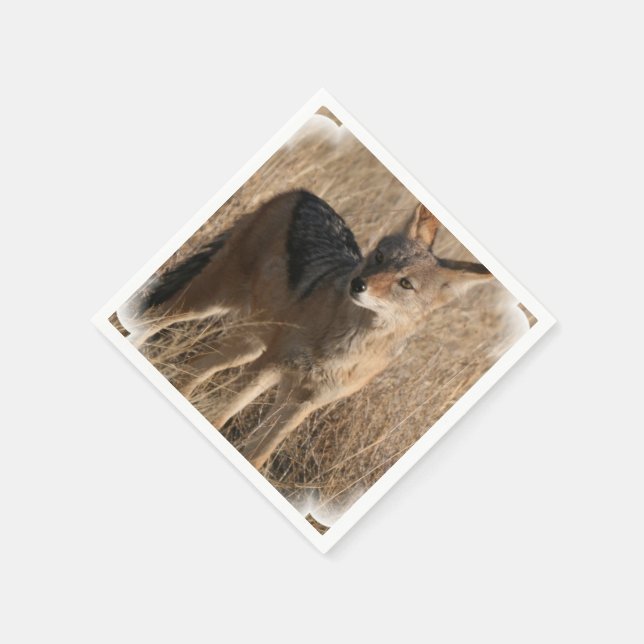 Coyote Serviette (Ecke)