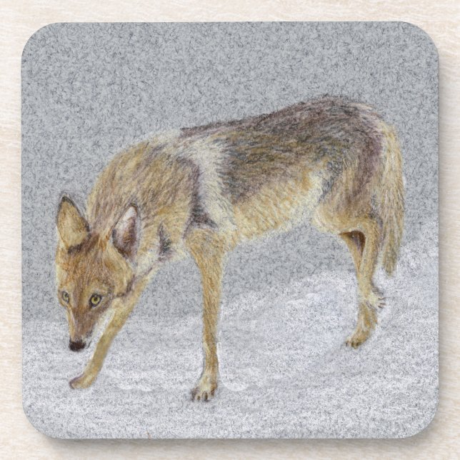 Coyote Untersetzer (Vorderseite)