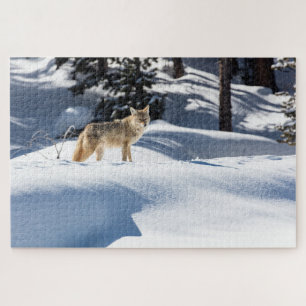 Coyote Winter Scene Jigsaw Puzzle