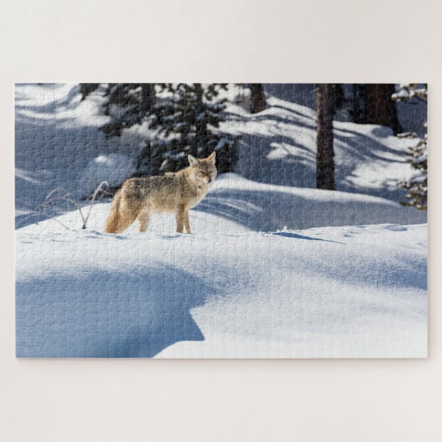 Coyote Winter Scene Jigsaw Puzzle (Horizontal)