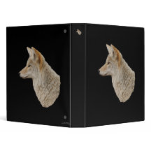 Coyotenprofil