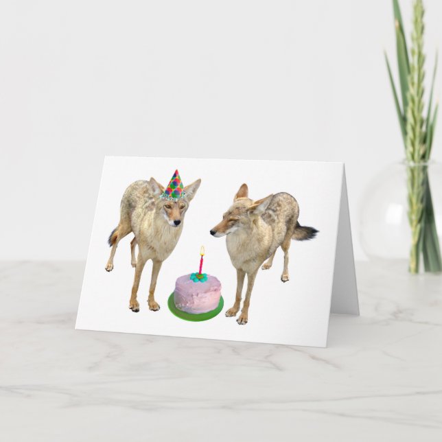Coyotes Birthday Card Karte (Vorderseite)