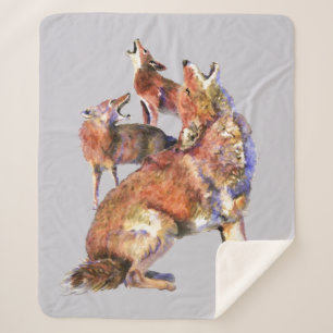 Coyotes della Riforma Sherpadecke