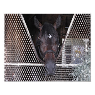 Cozmic eins bei historischem Saratoga Fotodruck