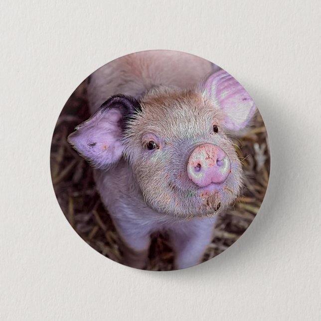 Cozmico Button (Vorderseite)