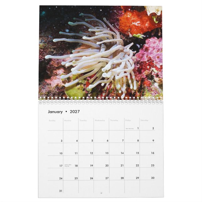 Cozumel 2011 Unterwasser Kalender (Jan 2027)