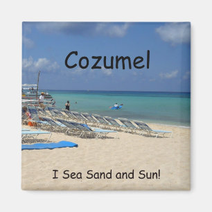 Cozumel, I Sea Sand and and Sun! Magnet