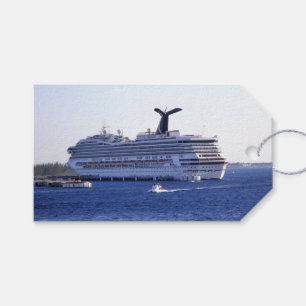 Cozumel-Kreuzschiff-Besuchs-Gewohnheit Geschenkanhänger