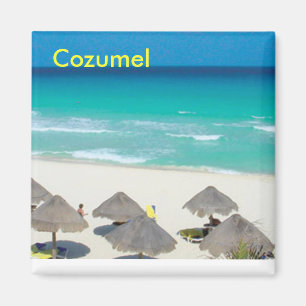Cozumel-Magnet Magnet
