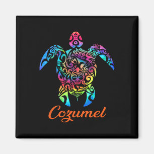 Cozumel Meeresschildkröten-Familienurlaub Sommer 2 Magnet
