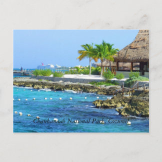 Cozumel Mexico Chankanaab Park Postcard Postkarte