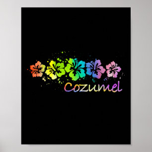 Cozumel, Mexico Watercolor Beach & amp; Surfen Poster