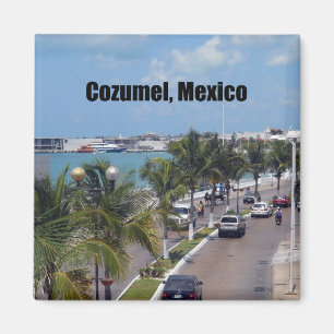 Cozumel, Mexiko Magnet