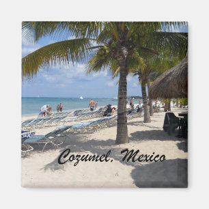 Cozumel, Mexiko Magnet