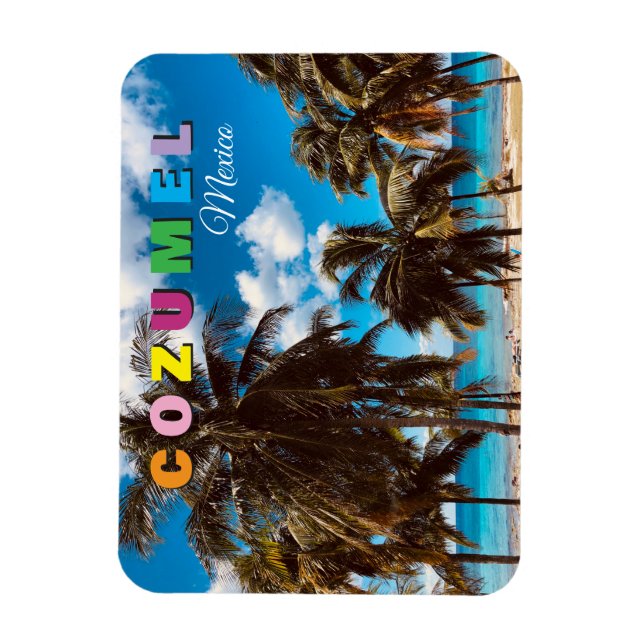 Cozumel Mexiko Reise Souvenir Magnet (Vertikal)
