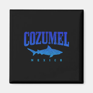 Cozumel Strand Mexiko Taucher Hai-Tauchen Vint Magnet
