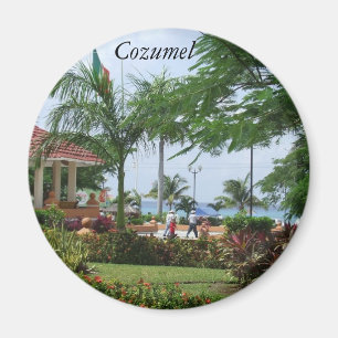 Cozumel Tropical Palm Tree Magnet