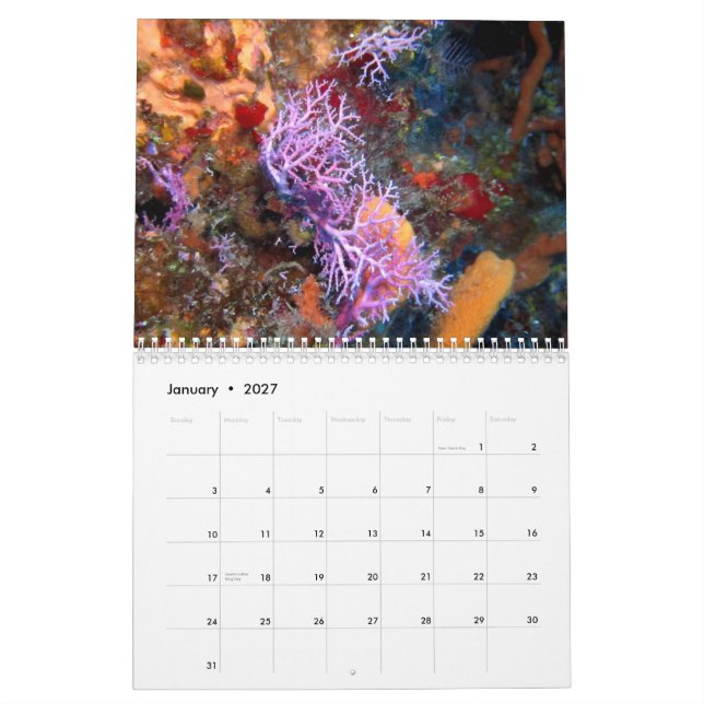 Cozumel Unterwasser2014 Kalender (Jan 2027)