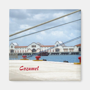 CozumelDockside Magnet