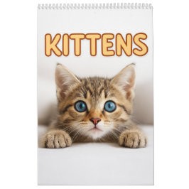 Cozy Cat Photography | Süße Kätzchen Katzen Wand  Kalender